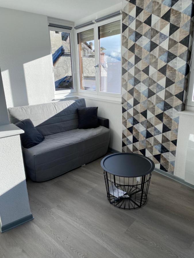 Residence Avec Un T3 Un T2 Et Un Studio En Centre Ville D 阿赫莱斯热莱斯加佐斯特 外观 照片