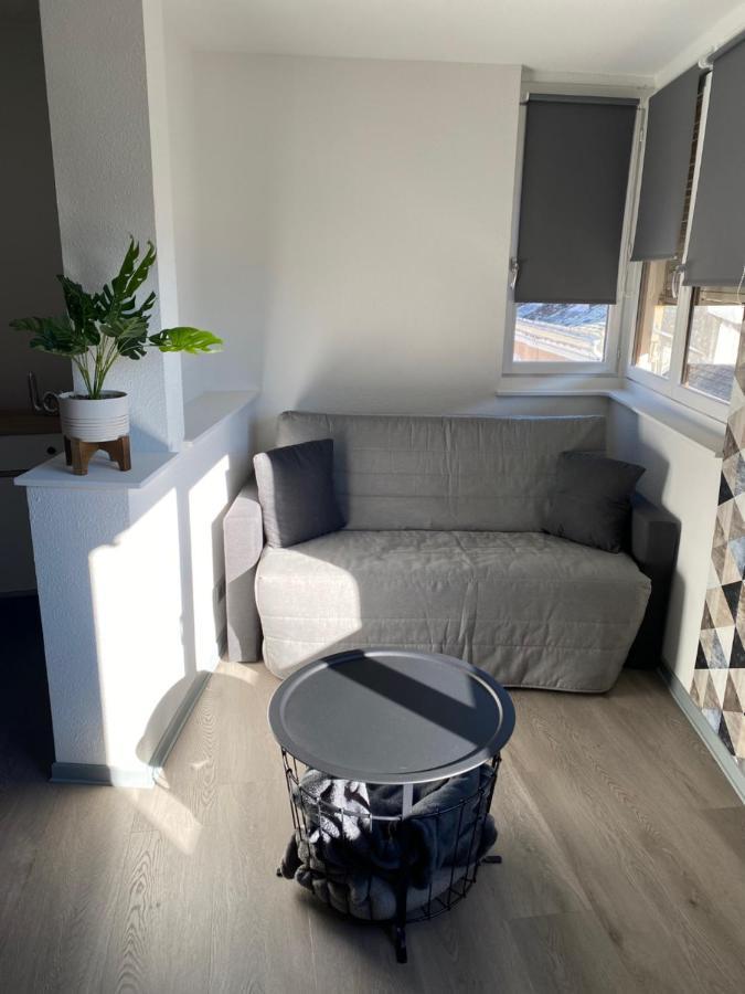 Residence Avec Un T3 Un T2 Et Un Studio En Centre Ville D 阿赫莱斯热莱斯加佐斯特 外观 照片